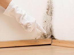 Best Mold Remediation for Healthcare Facilities  in Pacific, WA